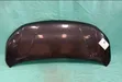 Bonnet for Suzuki Solio Bandit (2015) - 1