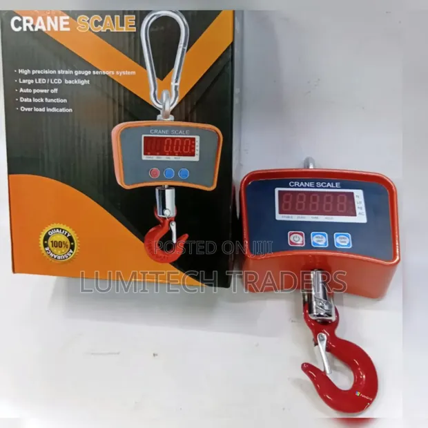 High Quality 500kg Crane Scale - 1