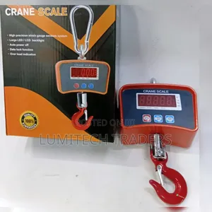 High Quality 500kg Crane Scale