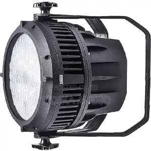 Waterproof Parcan Light