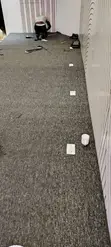 Delta Wall-to-Wall Carpets - Zero Maintenance - 2