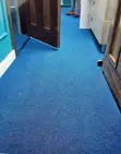 Delta Wall-to-Wall Carpets for Hallways - 1