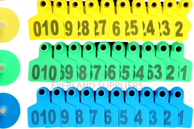 Ear Tags - Wholesale - 1