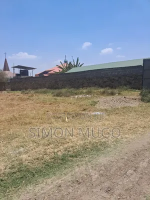 Kitalu cha Githurai Kimbo Prime 120x120