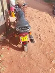 Bajaj Boxer 150 UG 2022 - Nyeupe - 4