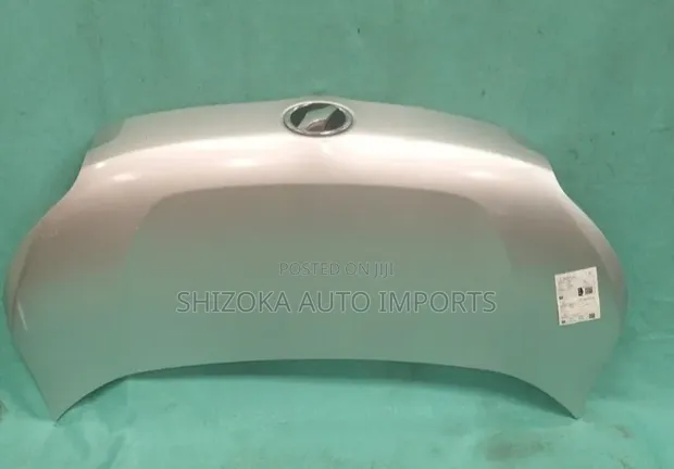 Toyota Voxy Bonnet (2011) - 1