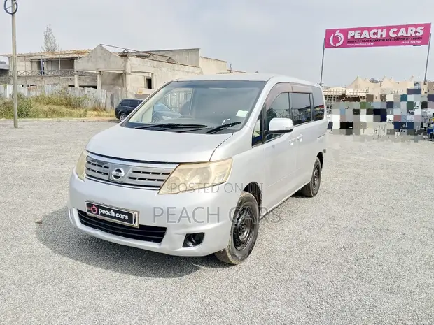 Nissan Serena 2009 Silver - 1