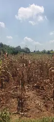 Prime 100x100 Plot for Sale in Thigio Nguirubi (300m from Tarmac) - 2