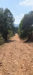 Prime 100x100 Plot for Sale in Thigio Nguirubi (300m from Tarmac) - 4