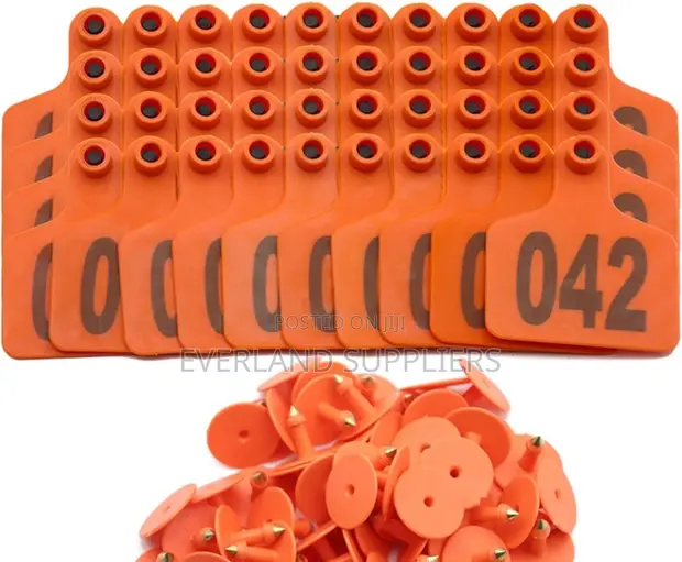 Ear Tags - Recognition - 1