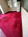 Elite Wall to Wall Delta Carpets - 2
