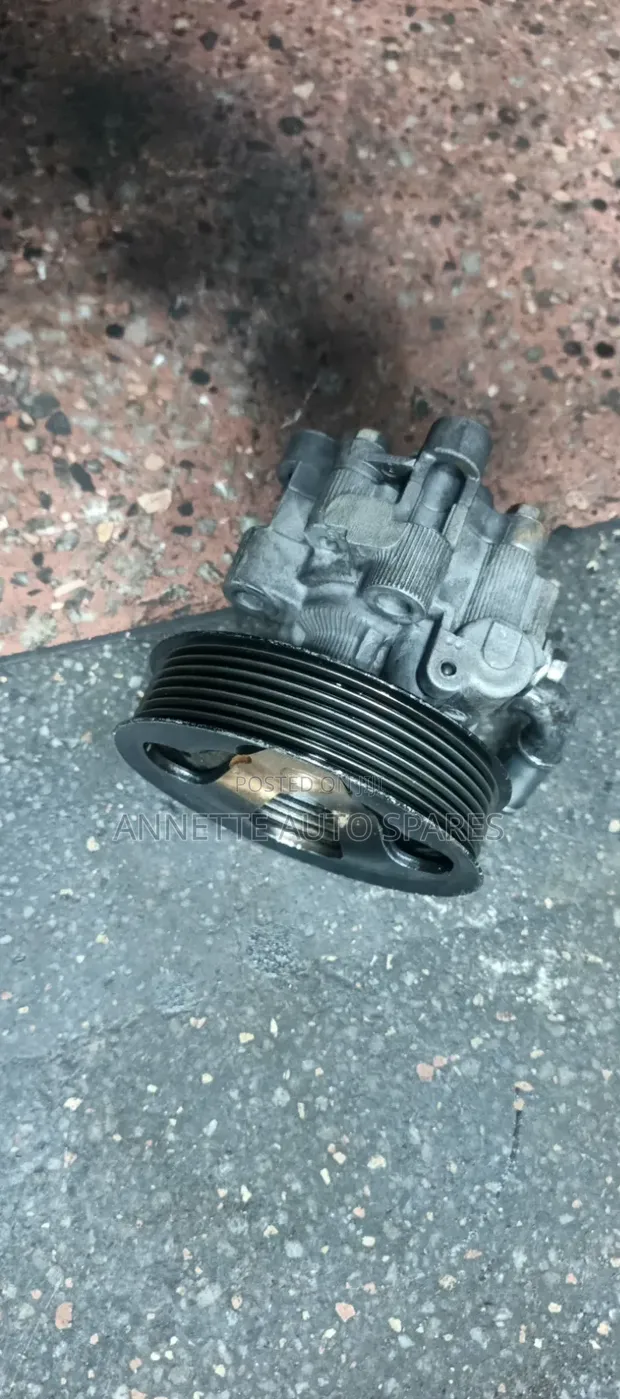 Toyota Camry Cartilage (Engine Mount) - 1