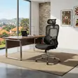 Orthopedic Executive Chair with Dual Spine Support - 1