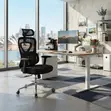 Orthopedic Executive Chair with Dual Spine Support - 2