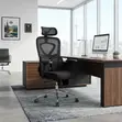 Orthopedic Executive Chair with Dual Spine Support - 4