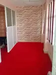 Ultra-Soft Wall-to-Wall Delta Floor Carpets - 1