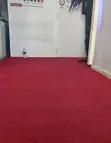 Delta Sophisticated Wall-to-Wall Carpet - 2