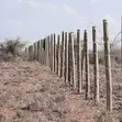 Chuna Phase 4 Athi River Land for Sale - 50x100 Ft - 1