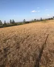 Chuna Phase 4 Athi River Land for Sale - 50x100 Ft - 2