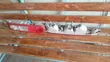 Nissan Cube Tail Light (Used) - 3