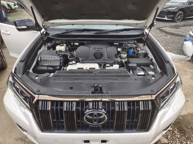 2021 Toyota Land Cruiser Prado 2.8L Pearl - 1