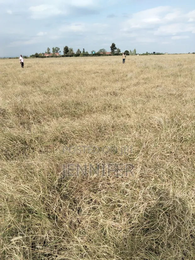 Kitengela 1/8 Acre Plot - Ready Title - 1