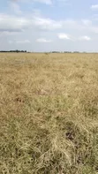 Kitengela 1/8 Acre Plot - Ready Title - 2