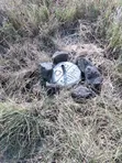 Kitengela 1/8 Acre Plot - Ready Title - 3
