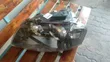 Audi A3 Headlight (Used) - 2