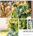 Greenstalk Kitchen Garden Tower Planter - 3