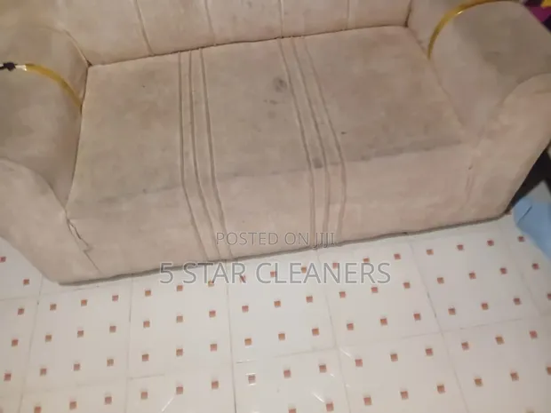 Synthetic and Fibre Sofa Set Cleaning - 1