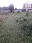 Kitalu cha Kibiashara cha 1/4 Eka, Ruaka Gacharage - 5