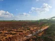 10,000 Acres Farmland at Tana River, Bura - Riverfront & Tarmac Access - 2