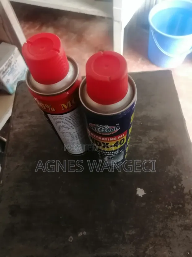 Spray Lubricant & Penetrating Oil - 1