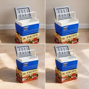Portable 4.5L Cooler Box Ice Box