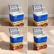 Portable 4.5L Cooler Box Ice Box - 1