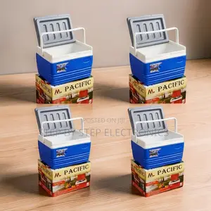 Food-Safe 4.5L Portable Cooler Box Ice Box