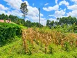 Land for Sale in Getare - 3