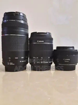 Canon Lenses: 18-55mm, 75-300mm, 50mm f/1.8