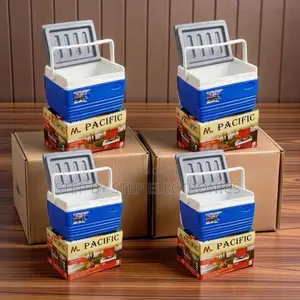 Reusable 4.5L Portable Cooler Box Ice Box
