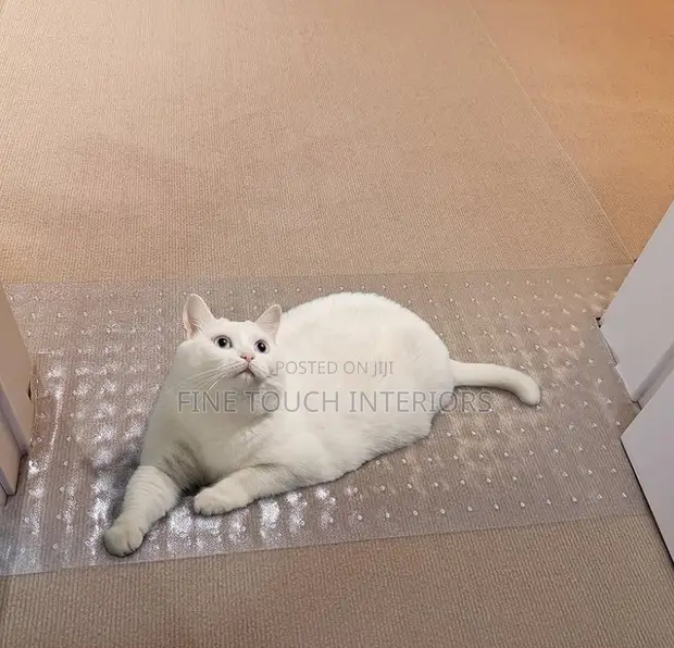 Pet Friendly Carpet Protectors - 1