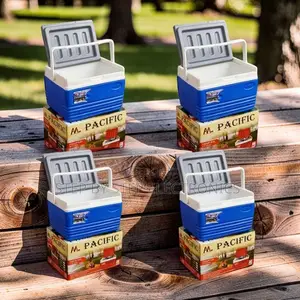 Commercial-Grade 4.5L Portable Cooler Box