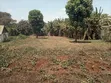 Kiu Kenda Estate Prime 3/4 Acre in Gated Court - 2