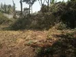 Kiu Kenda Estate Prime 3/4 Acre in Gated Court - 3