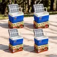Rugged 4.5L Portable Cooler Box Ice Box - 2