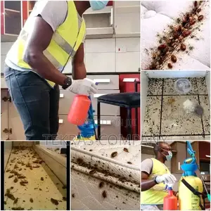 Professional Fumigation Services