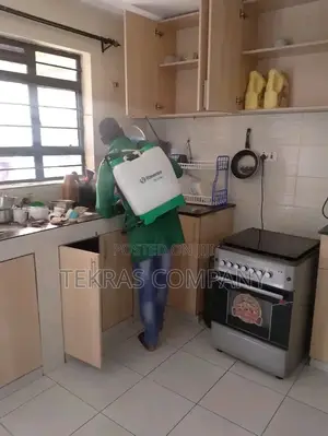 Cockroach Fumigation Service with Warranty