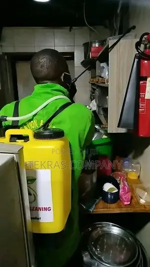 Cockroach and Mosquito Fumigation Services