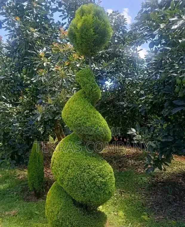 Landscaping Design & Maintenance Services - 1