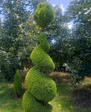 Landscaping Design & Maintenance Services